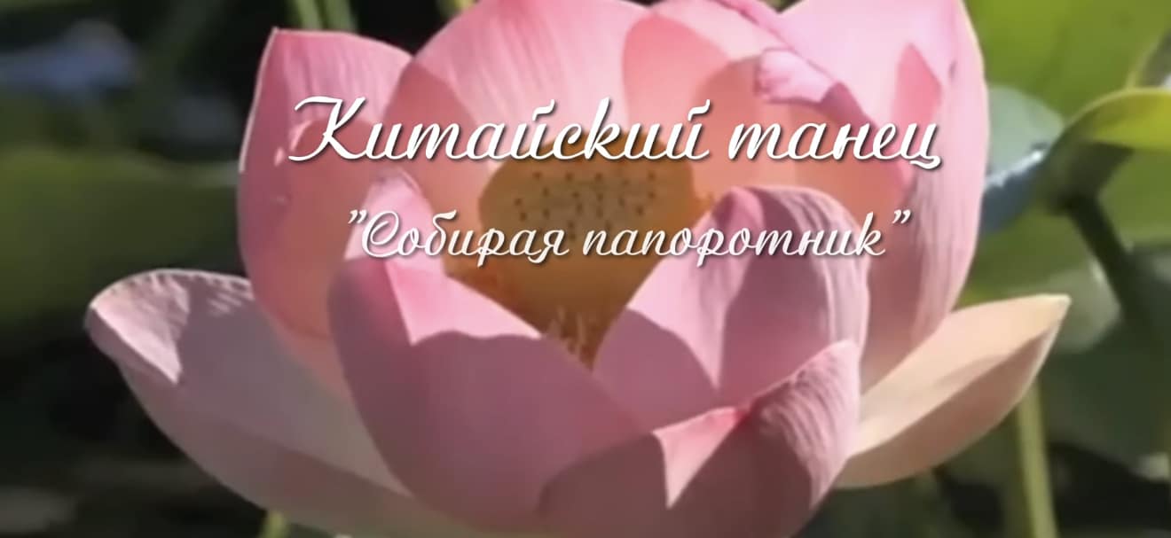 Собирая лотосы